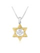 תליון שרשרת מגן דוד עם ישראל חי מצופה זהב